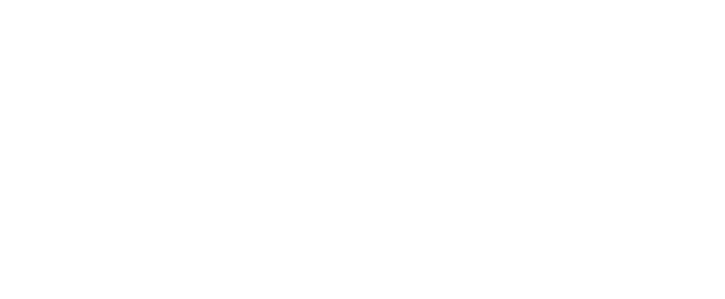 Pastis logo in white